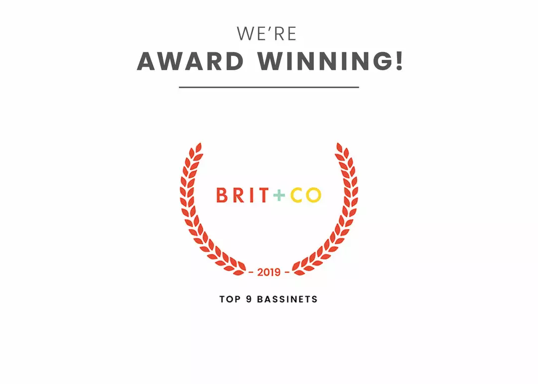 Delta Children Bassinets Deluxe Moses Bassinet 14 Delta Children Bassinets Deluxe Moses Bassinet